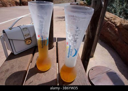 Beer: The Beloved Summer Drink That Brings Joy and Refreshment to Warm Days